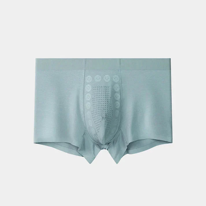 Mens Ice Silk Briefs Boxers Buy Get