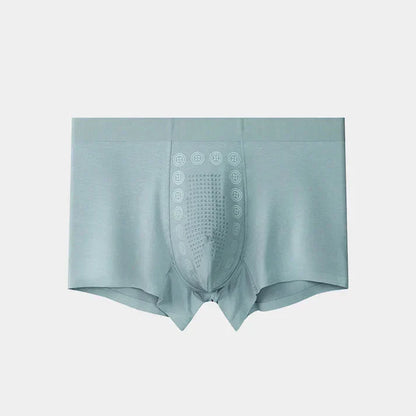 Mens Ice Silk Briefs Boxers Buy Get